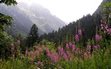 Přímořské Alpy, údolí zázraků, vesnice UNESCO - Itálie -  Ligurie -  Valley del Valasco