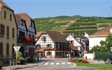 Alsasko, víno - slovo průvodce - Francie - Alsasko - Ribeauville -pohled na vinice