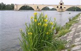 Sopky, kaňony Francie a Millau, nejvyšší most světa -  Francie - Provence - Avignon,  Pont St.Bénézet (1171-85), zbořený povodní 1668