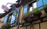 Kouzelné Lotrinsko, Alsasko, Vogézy a vinná stezka 2021 - Francie - Alsasko  - Eguisheim, nádherné květiny jsou všude