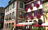Kouzelné Lotrinsko, Alsasko, Vogézy a vinná stezka 2021 - Francie - Alsasko - Ribeauville, malebné hrázděné domy plné květin