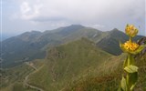 Sopky Auvergne, regionální přírodní park - Francie - Auvergne - hřebeny tvořené vrcholy sopek a žluté hořce