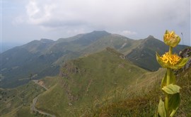 Sopky Auvergne, regionální přírodní park