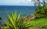 Madeira s turistikou - Portugalsko - Madeira, to je modré nebe a moře a zelená vegetace po celý rok