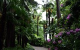 Nejkrásnější zahrady Itálie 2023 - Itálie - ostrůvky Brissago - botanická zahrada