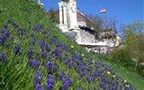 Budapešť - Maďarsko - Budapešť - hradní vrch, socha bájného ptáka Turula, který údajně přivedl Maďary do Uherské nížiny a s kterým měla babička zakladatele království Arpáda dítě
