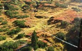 Tyrolské slavnosti shánění stád - Rakousko - Tyrolsko -  Muterberg, v horách už přichází podzim a všechny jeho barvy