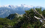 Alpy s kartou - Slovinsko - Julské Alpy - Triglav a vrcholy okolo přes kosodřevinu