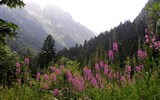 Pohodové týdny v horách s turistikou - Itálie - Přímořské Alpy -  Valley del Valasco