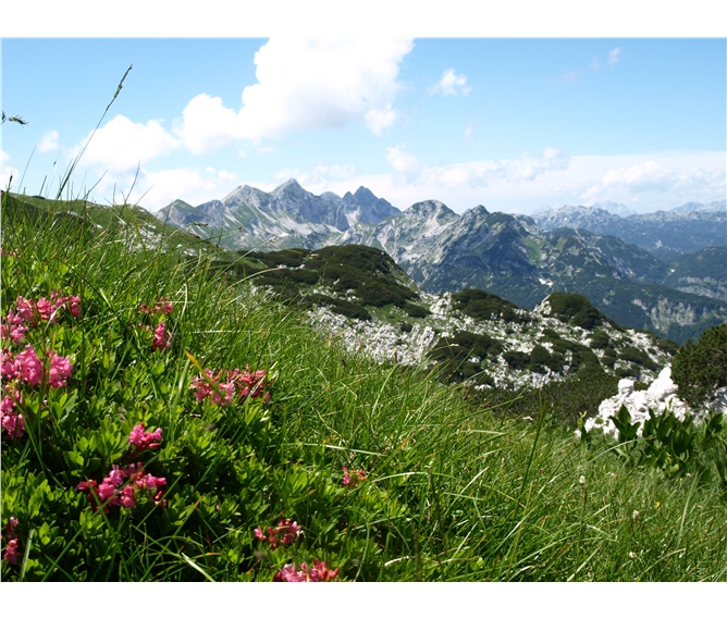 Putování a relaxace v Julských Alpách - stanový - Slovinsko - Julské Alpy - horský hřeben Vogelu