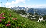 Slovinsko - Putování, relaxace a turistika v Julských Alpách 2023 - Slovinsko - Julské Alpy - horský hřeben Vogelu