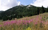 Chorvatsko, národní parky 2023 - Chorvatsko - pohoří Velebit