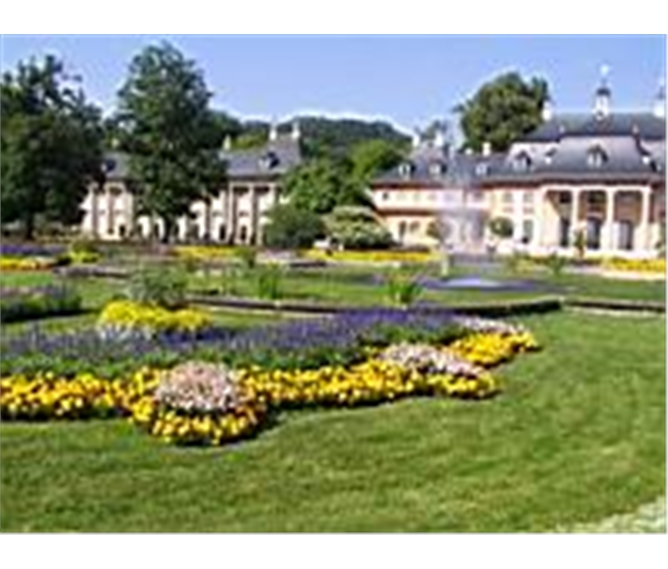 Drážďany a kamélie v Pillnitz - Německo -Pillnitz- zámecký park vytvořený 1780
