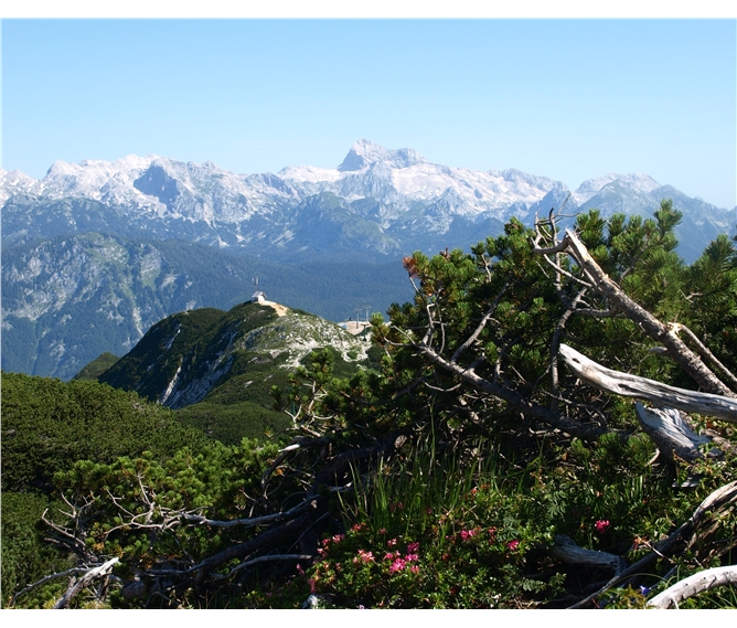 Slovinsko - Putování, relaxace a turistika v Julských Alpách 2022 - Slovinsko - Julské Alpy - Triglav přes kosodřevinu