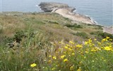 Gargáno a památky Apulie - Itálie - Apulie - vápencové pobřeží, moře a koberec květin