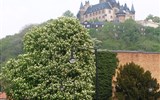 Wernigerode - Německo - Wernigerode - nad městem se tyčí hrad