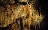 Slovinsko, hory, moře a jeskyně podzim 2022 - Slovinsko -  Postojenské jeskyně, největší jeskynní komplex Evropy, přes 20 km podzemních chodeb