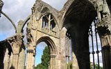 Melrose Abbey - Velká Británie - Skotsko - Melrose Abbey, ruiny cicterciáckého kláštera, zachvány okna s nádhernými kružbami 