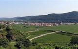 údolí Wachau - Rakousko - údolí Wachau, vínu se zde daří