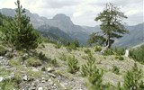 Albánie - Albánie - hory jsou zde stále divoké