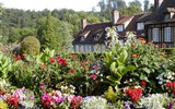Normandie a Alabastrové pobřeží - Francie - Normandie - rozkvetlé zahrady všude kolem