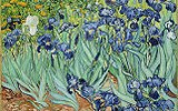 Vincent van Gogh - Vincent van Gogh, Kosatce, 1889