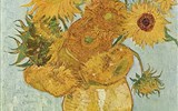 Holandsko, Velikonoce v zemi tulipánů 2023 - Vincent van Gogh, Slunečnice, 1888
