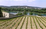 Pohodová levandulová Provence i za gastronomií a vínem 2023 - Francie - Provence - Avignon, tzv. skály dómské - vinice papežů