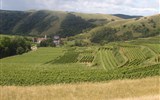 Alsasko, Schwarzwald, Vogézy, zážitky na vinné stezce a slavnost chryzanthem 2023 - Francie - Alsasko - země vína a obilí