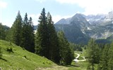 Kalkalpen, Tauplitzalm, zahrada Rakouska a Narcisový festival 2022 - Rakousko - Kalkalpen - Wurzeralm
