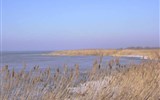 Na kole kolem Neziderského jezera - Rakousko - národní park Neusiedler See - Illmitz, typické jsou jezírka a solná jezírka s rozsáhlými porosty rákosin