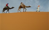 Maroko, země tisíce barev a vůní 2022 - Maroko - písek a velbloudi patří z obvyklé představě této země