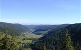 Německo - Německo - Schwarzwald - lesnaté hřebeny pohoří přesahují tisíc metrů