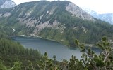 Národní park Kalkalpen - Rakousko - Kalkalpen - Tauplitzalm, porosty kosodřeviny nad jezerem Steirersee