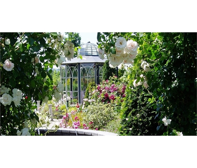 Zahradnický veletrh v Tullnu, Krems, zámek Rosenburg a Kittenberské zahrady 2022 - Rakousko - Kittenberské zahrady - Růžová zahrada