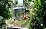 Kittenberské zahrady - Rakousko - Kittenberské zahrady - Růžová zahrada