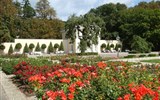 lázně Baden - Rakousko - Baden - Rosarium, na ploše více než 90.000 m² se nachází cca 600 různých druhů růží