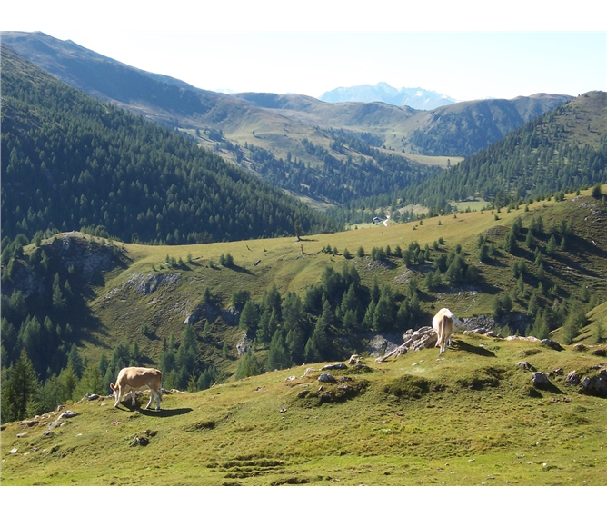 Léto v Korutanech s výletem do Julských Alp - Rakousko - NP Nockberge - Nockalmstrasse