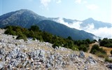 Albánie - Albánie - Llogarský průsmyk, oblast národního parku Llogara chrání nádherné horské lesy