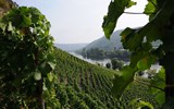 Mosela - Německo - Mosela, hluboce zaříznuté údolí řeky a vinice na svazích