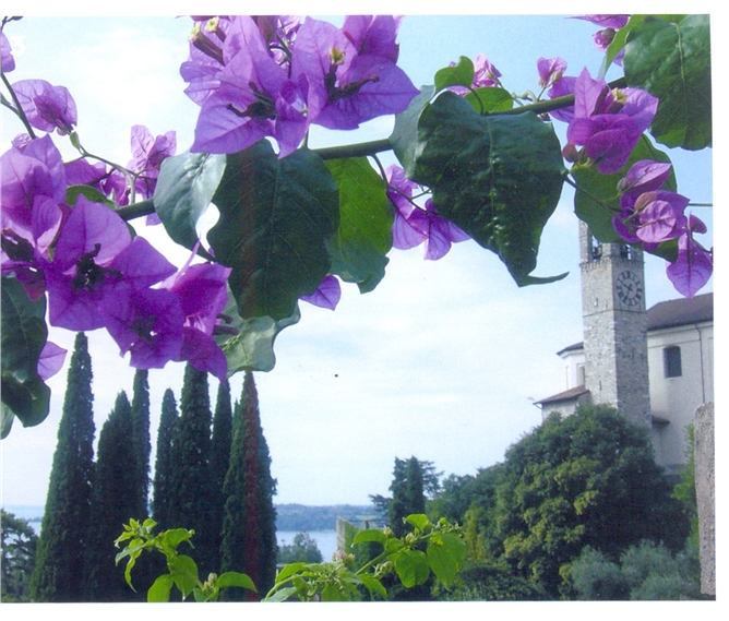 Nejkrásnější italská jezera a zahrady 2022 - Itálie - Lago di Garda - Gardone Riviera