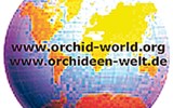 Drážďany, Míšeň, kamélie v Pillnitz a výstava orchidejí - Německo - Drážďany - výstava Svět orchidejí