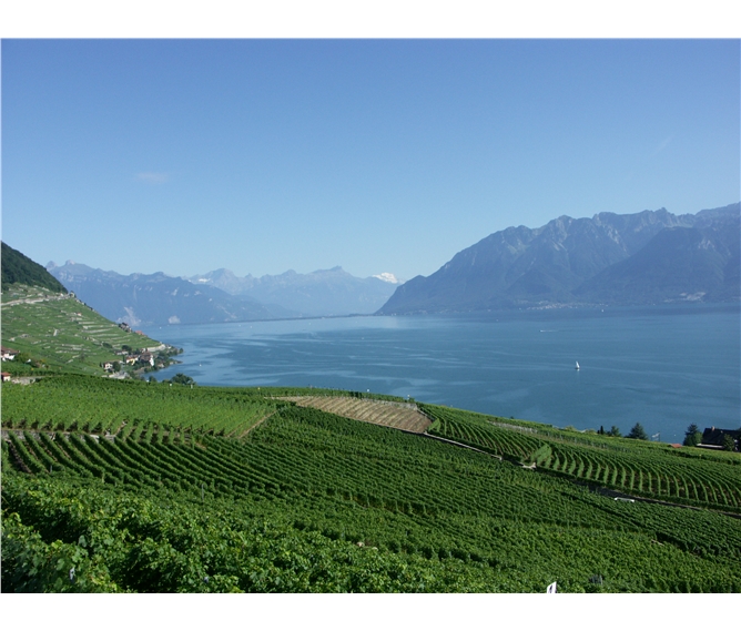 Wallis, svět panenské přírody - Švýcarsko - Ženevské jezero čili Lac Léman z Lavaux