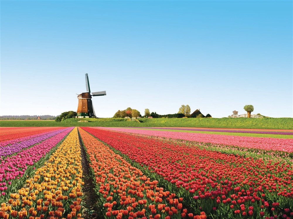 Krásy Holandska a květinové korzo - Holandsko 2023, 2024 - GEOPS-CK