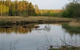 Národní park Lahemaa - Estonsko - NP Lahemaa - Valgejõgi