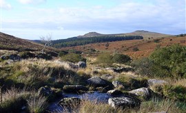 Národní park Dartmoor