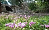 Národní park Butrint - Albánie - rozkvetlé ruiny Butrintu