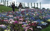 Světová výstava Floriade 2022 a největší národní park Holandska a lidový skanzen - Holandsko - Floriade 2012 - květiny všech barev a odstínů