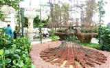 Floriade a zámky na Rýně - Holandsko - Floriada 2012 - nádherné aranže ve Villa Flora