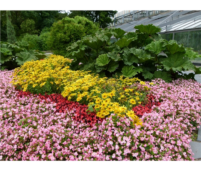 Lübeck, Hamburg a mezinárodní zahradnická výstava - Německo - Hamburg - Planten un Blomen